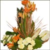 Everlasting Memories - Click here to View more details about this Product